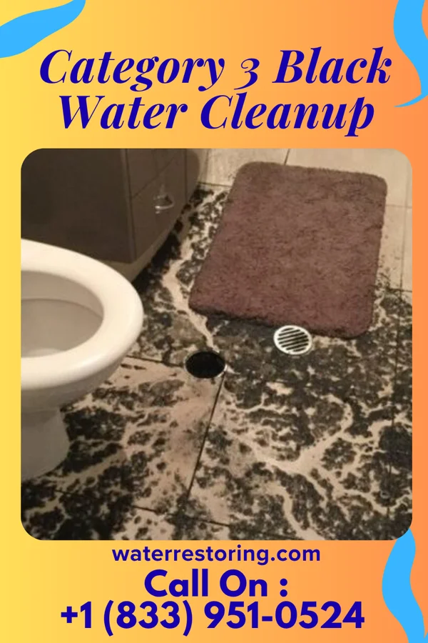 Category 3 Black Water Cleanup in Leawood, KS